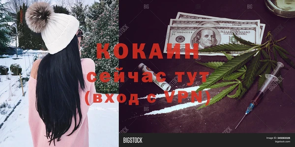 спайс Бородино
