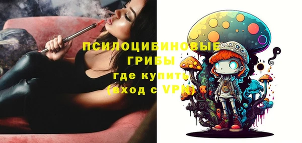 спайс Бородино
