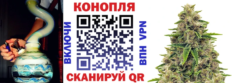 Конопля сатива  omg ссылки  Усмань 